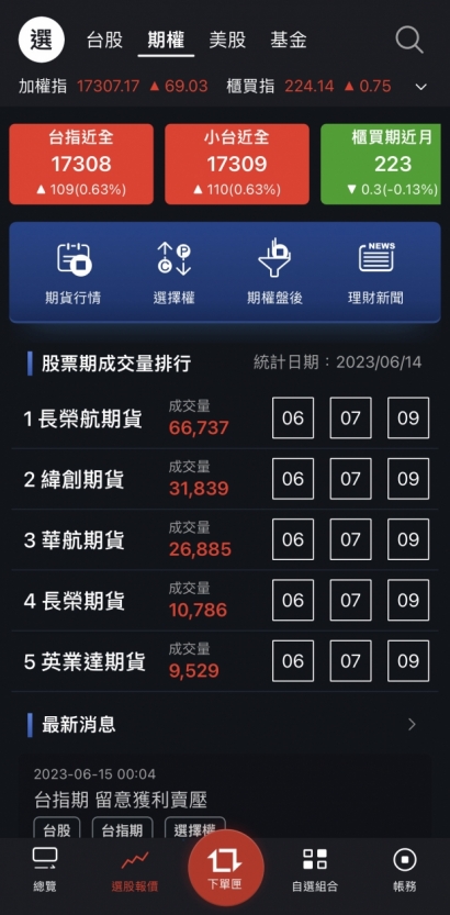 永豐期貨大戶投1.jpg